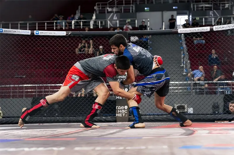 Apostas no MMA - Análise de Combates e Mercados prabusports.net